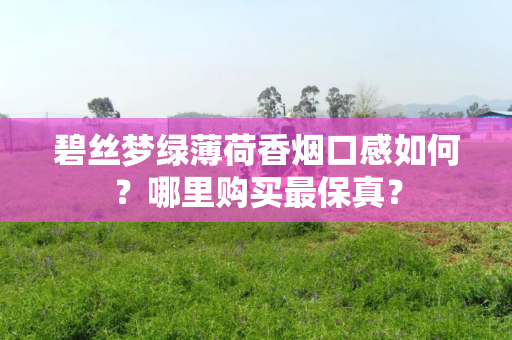 碧丝梦绿薄荷香烟口感如何？哪里购买最保真？